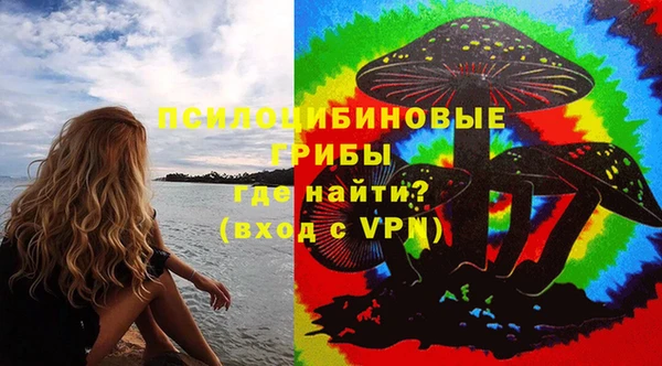 прущий лед Абаза