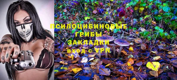твердый Абинск