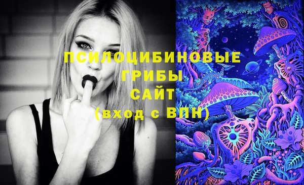 Альфа ПВП Нефтекумск