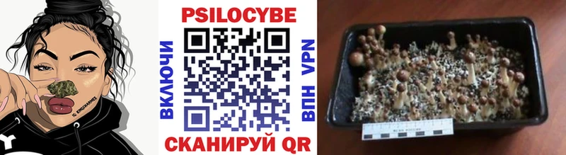Псилоцибиновые грибы мухоморы  Краснодар 